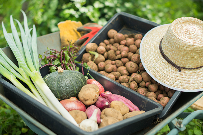 おいしい約束ファーム